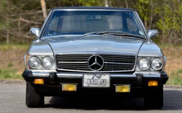 Unknown-450sl-1974-Gray-2