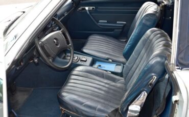 Unknown-450sl-1974-Gray-21