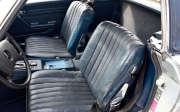 Unknown-450sl-1974-Gray-22