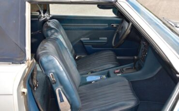 Unknown-450sl-1974-Gray-27