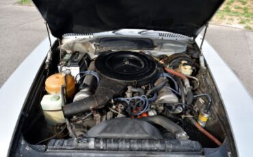 Unknown-450sl-1974-Gray-31