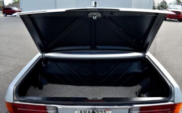 Unknown-450sl-1974-Gray-36