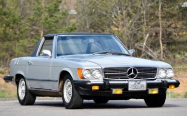 Unknown-450sl-1974-Gray-4
