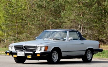 Unknown-450sl-1974-Gray-44