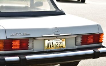Unknown-450sl-1974-Gray-6