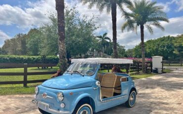 Unknown-500-1972-Blue-Beige-11