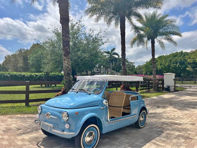 Unknown-500-1972-Blue-Beige-11