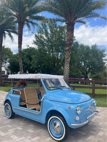 Unknown-500-1972-Blue-Beige-3