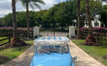 Unknown-500-1972-Blue-Beige