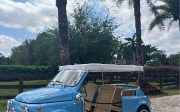 Unknown-500-1972-Blue-Beige-4