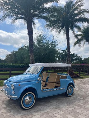 Unknown-500-1972-Blue-Beige-4