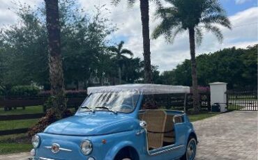 Unknown-500-1972-Blue-Beige-5