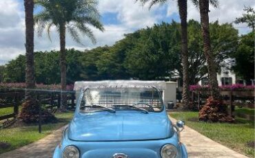 Unknown-500-1972-Blue-Beige-7