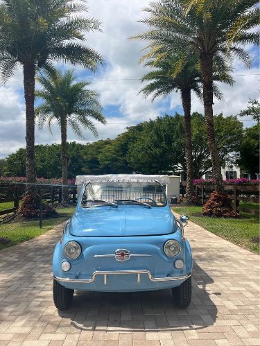 Unknown-500-1972-Blue-Beige-7