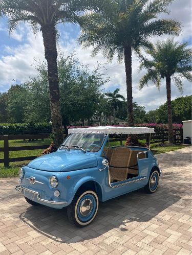 Unknown-500-1972-Blue-Beige-8