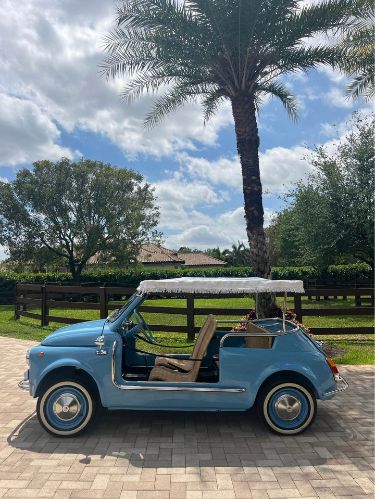 Unknown-500-1972-Blue-Beige-9