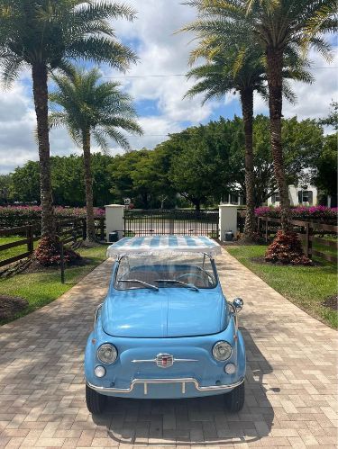 Unknown-500-1972-Blue-Beige
