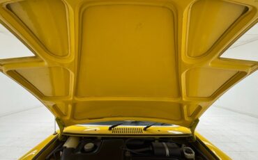 Unknown-914-1973-Saturn-Yellow-Black-22