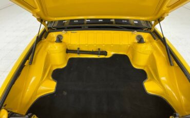 Unknown-914-1973-Saturn-Yellow-Black-31