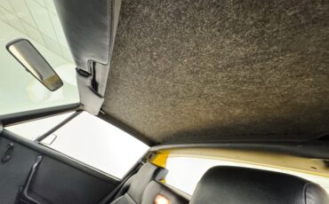 Unknown-914-1973-Saturn-Yellow-Black-48