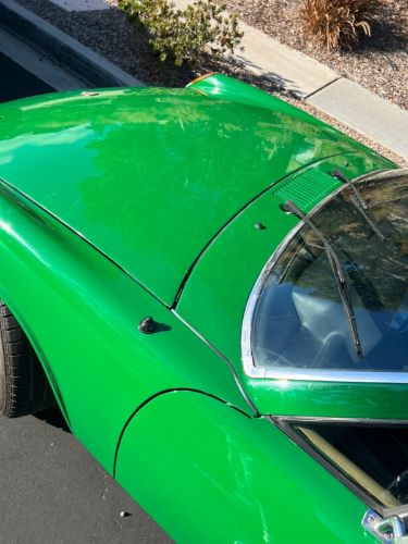Unknown-914-1974-Green-Tan-5