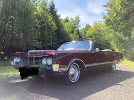 Unknown-98-1965-Burgundy-Mist-1