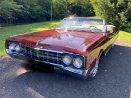 Unknown-98-1965-Burgundy-Mist-3