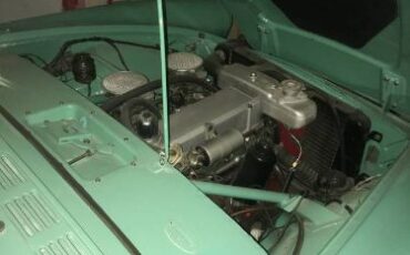 Unknown-Alpine-1960-Willow-Green-1