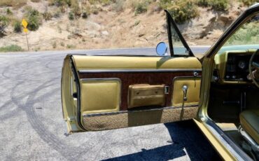 Unknown-Ambassador-1968-Scarab-Gold-Irid-Gold-Metallic-Cloth-11