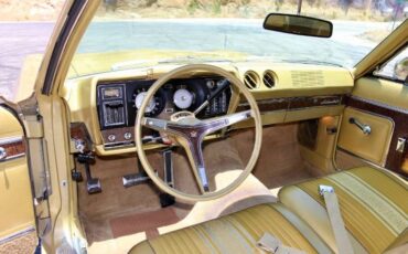 Unknown-Ambassador-1968-Scarab-Gold-Irid-Gold-Metallic-Cloth-17