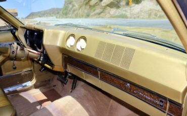 Unknown-Ambassador-1968-Scarab-Gold-Irid-Gold-Metallic-Cloth-18