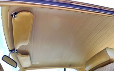 Unknown-Ambassador-1968-Scarab-Gold-Irid-Gold-Metallic-Cloth-21