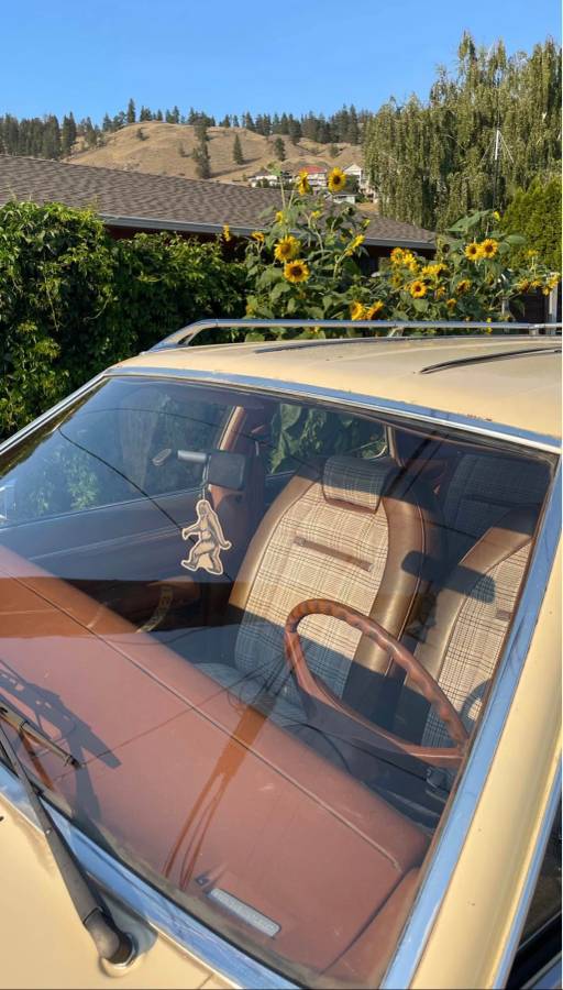Unknown-American-motors-eagle-1982-yellow-3