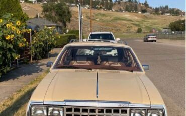 Unknown-American-motors-eagle-1982-yellow-4