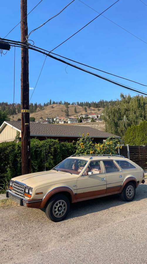 Unknown-American-motors-eagle-1982-yellow-8