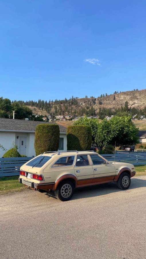 Unknown-American-motors-eagle-1982-yellow