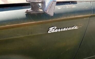 Unknown-Barracuda-1965-Green-3