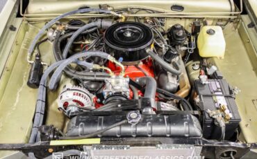 Unknown-Barracuda-1966-Citron-Gold-Metallic-Green-1