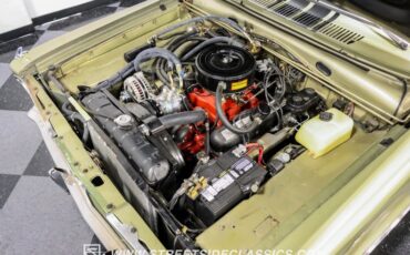 Unknown-Barracuda-1966-Citron-Gold-Metallic-Green-34