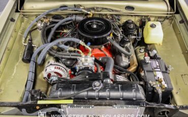 Unknown-Barracuda-1966-Citron-Gold-Metallic-Green-35