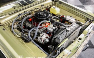 Unknown-Barracuda-1966-Citron-Gold-Metallic-Green-36