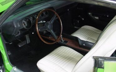 Unknown-Barracuda-1970-Green-White-3