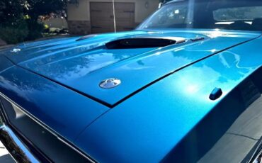 Unknown-Barracuda-1970-Sassy-Grass-Green-Black-Leather-20