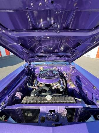 Unknown-Barracuda-1971-Purple-Parchment-3