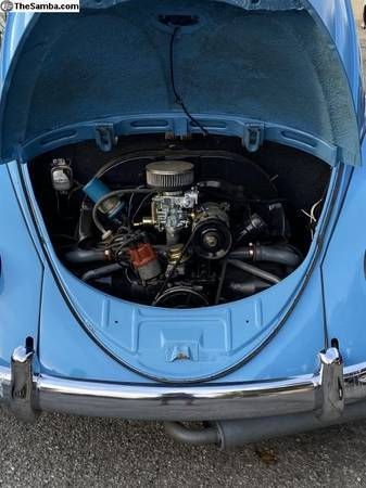 Unknown-Beetle-1952-1