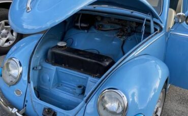 Unknown-Beetle-1952-2