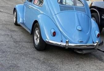 Unknown-Beetle-1952-4