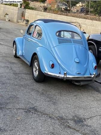 Unknown-Beetle-1952-4