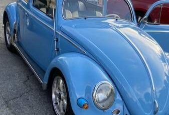 Unknown-Beetle-1952-5