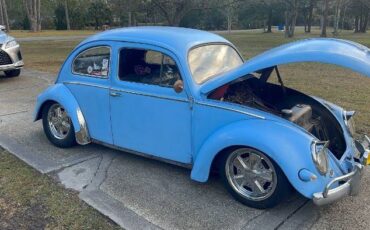 Unknown-Beetle-1956